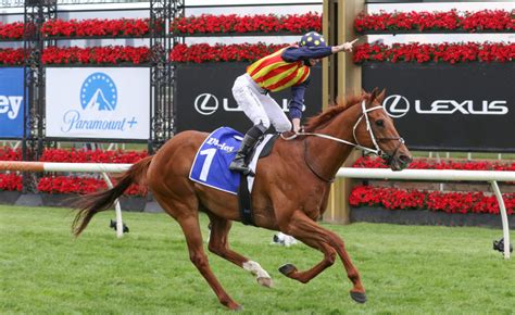 Black Caviar Lightning Stakes Tips, Bets and Race Preview – 2022.